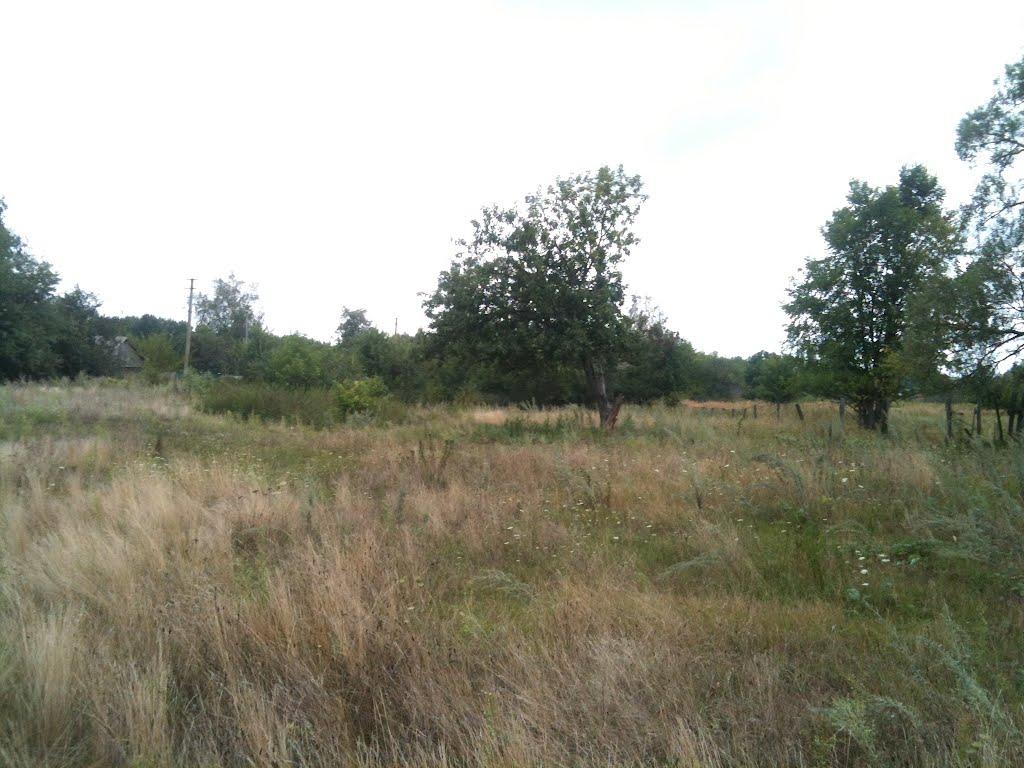 Любитове з panoramio.com - Любитово