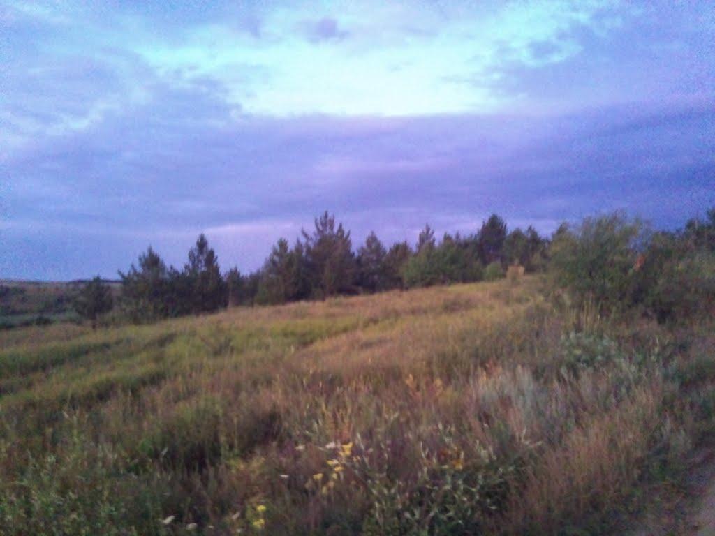 Новоамвросіївське з panoramio.com - Новоамвросиевское