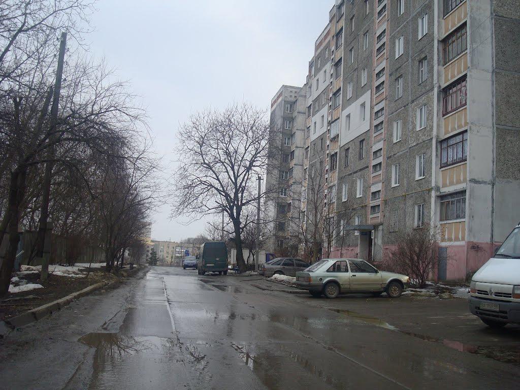 Хмельницький з panoramio.com (ч.13) - Хмельницкий