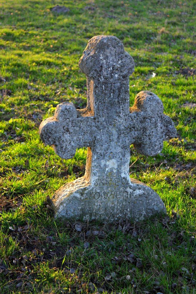 Білий Камінь з panoramio.com - Білий Камінь