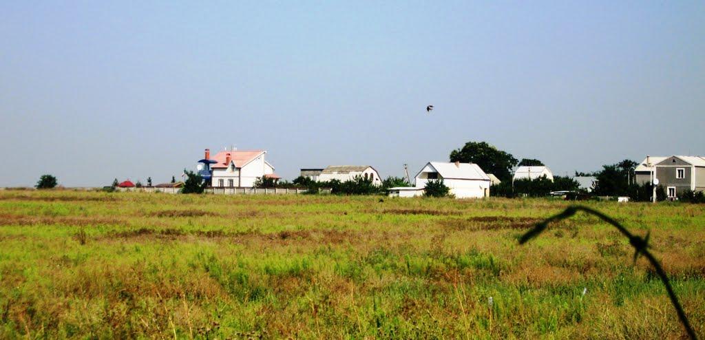 Бурлача Балка з panoramio.com - Бурлача Балка