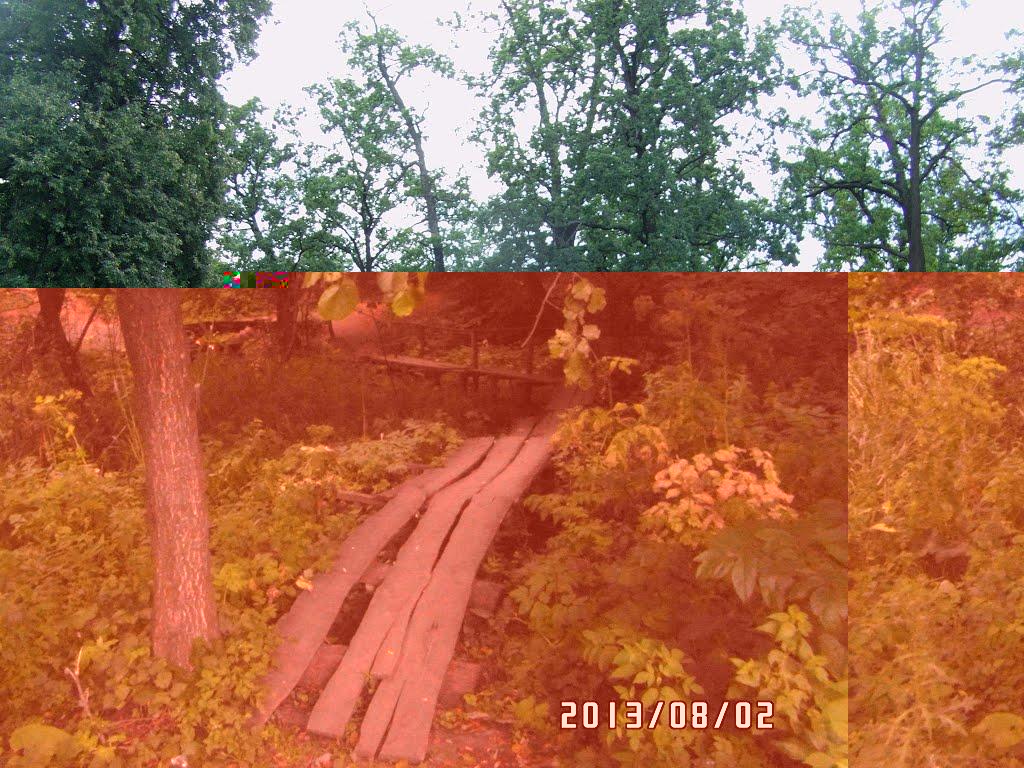 Базелівщина з panoramio.com - Базелевщина