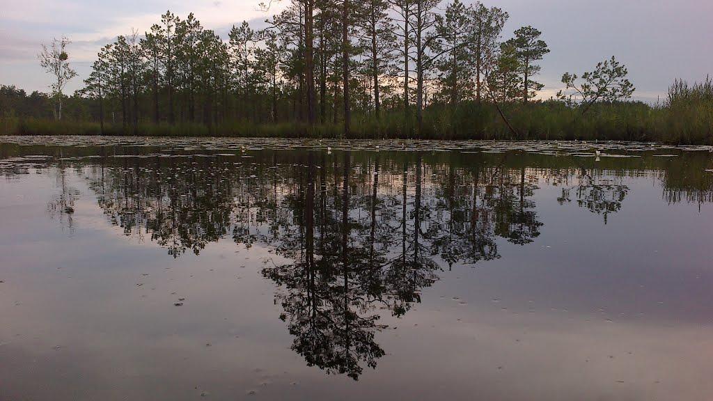 Вири з panoramio.com - Вири