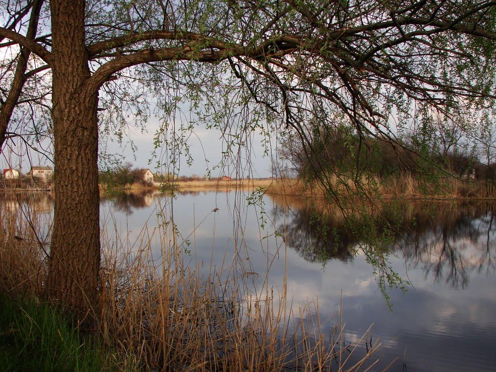 Перемога з panoramio.com - Перемога