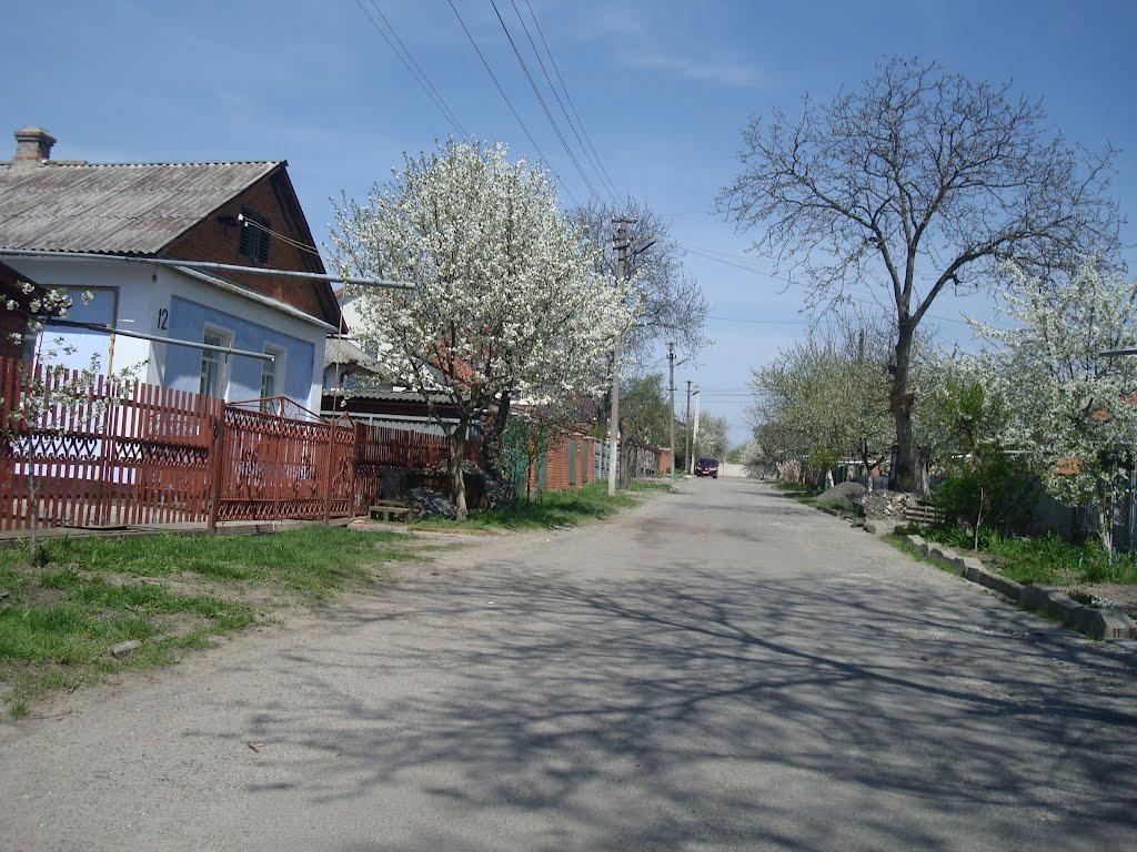 Хмельницький з panoramio.com (ч.13) - Хмельницкий