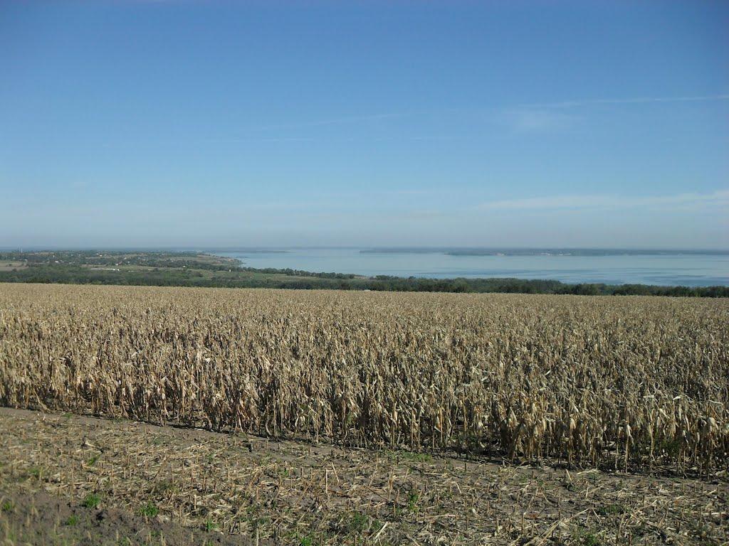 Заріччя з panoramio.com - Заріччя