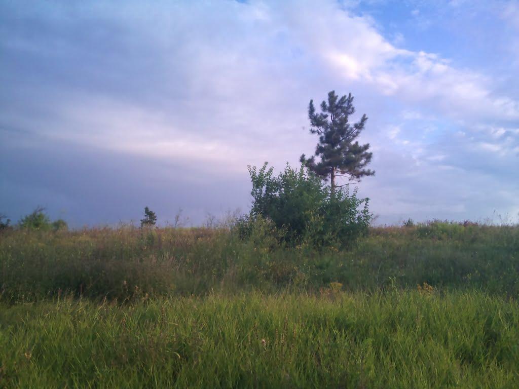 Благодатне з panoramio.com - Благодатне