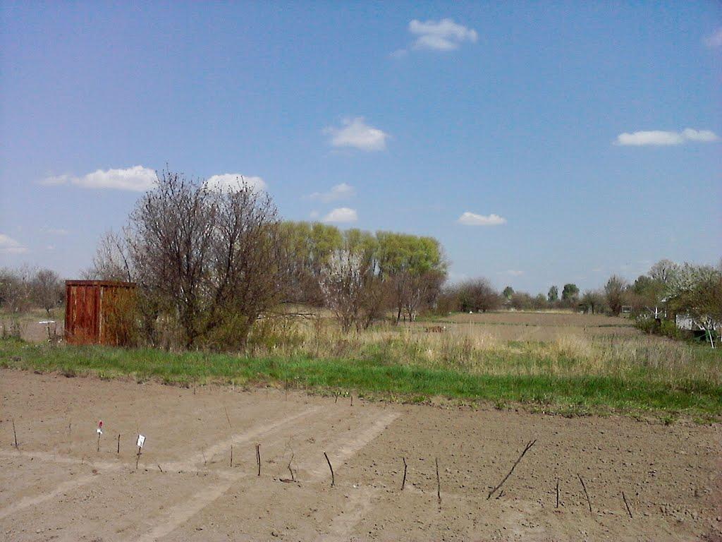 Куликівка з panoramio.com - Куликівка