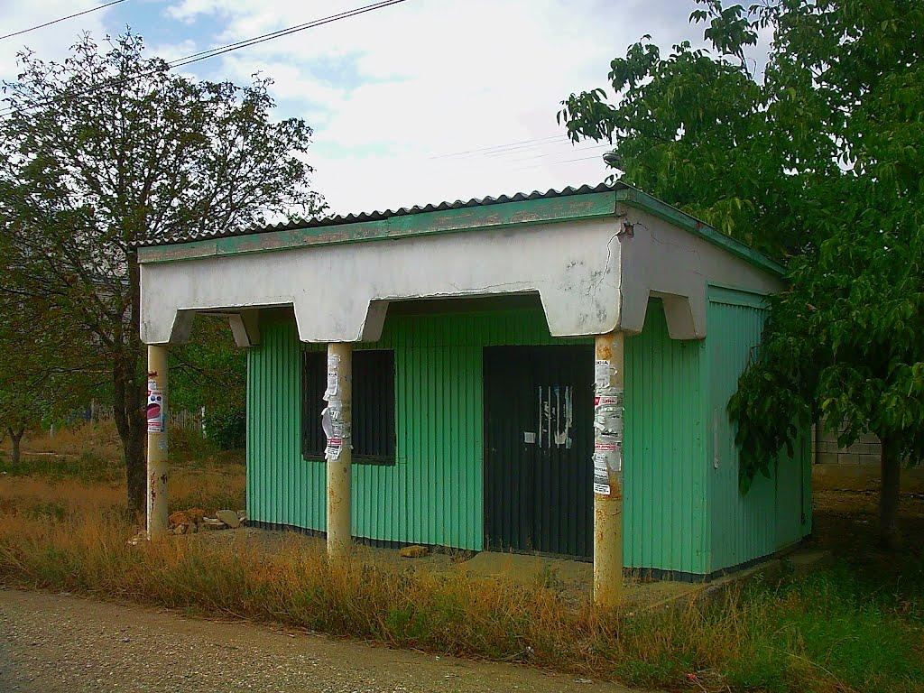 Шевченкове з panoramio.com - Шевченково