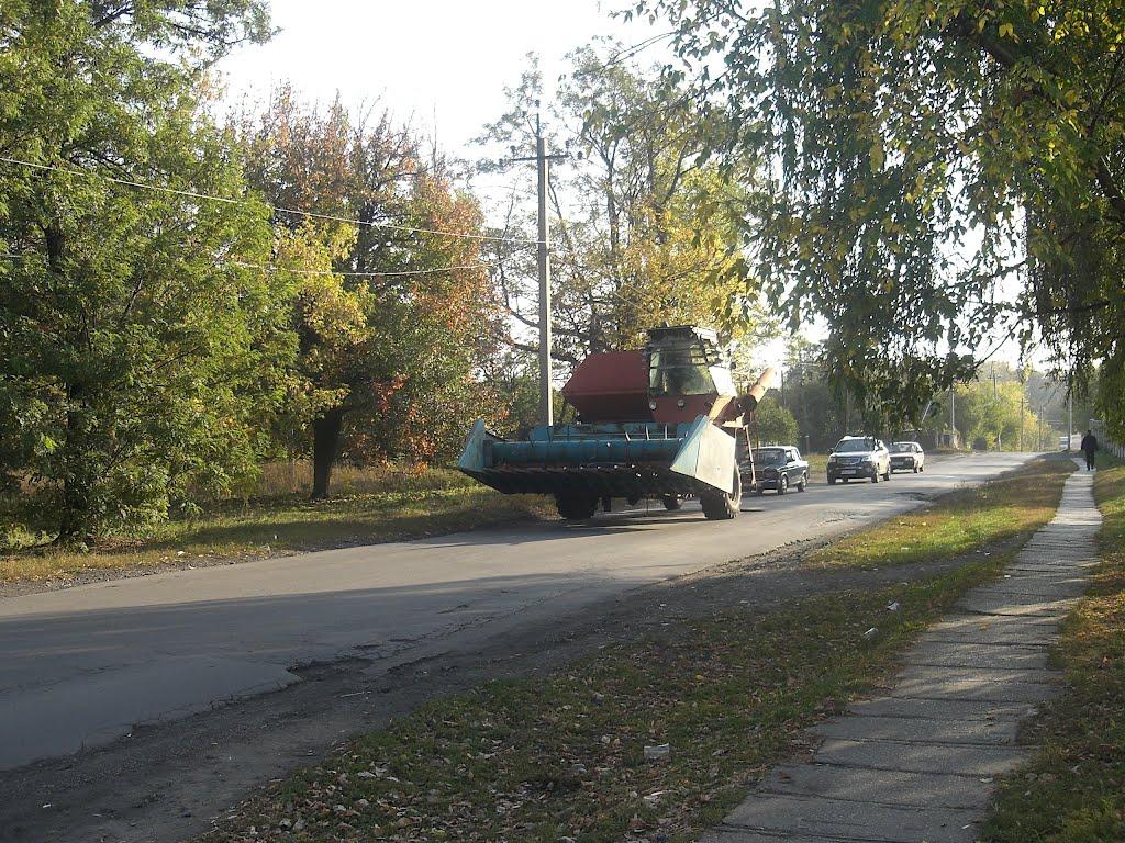 Ясенівський з panoramio.com - Ясенівський