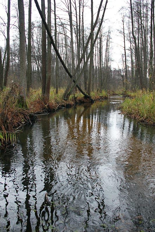 Стобихва з panoramio.com - Стобихва