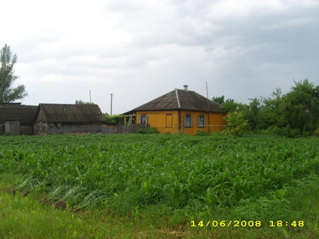 Московський Бобрик з panoramio.com - Московський Бобрик