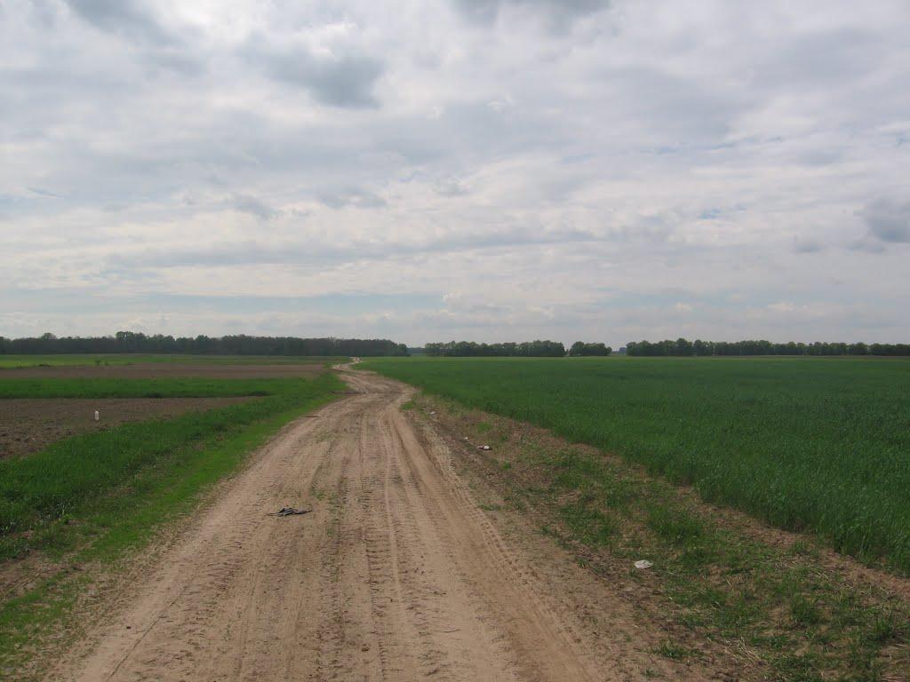 Новоселівка з panoramio.com - Новоселовка