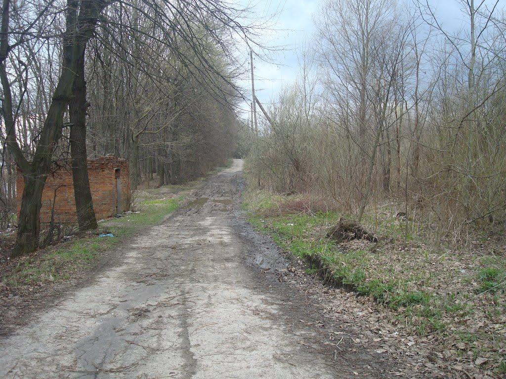 Хмельницький з panoramio.com (ч.13) - Khmelnytskyi