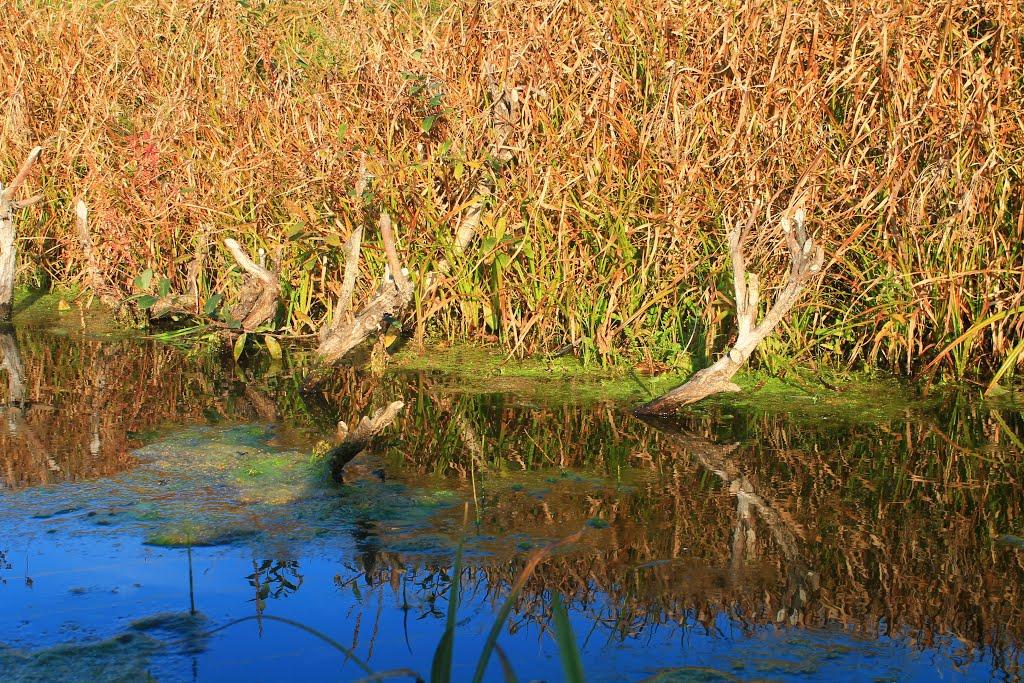 Тростянець з panoramio.com - Тростянец