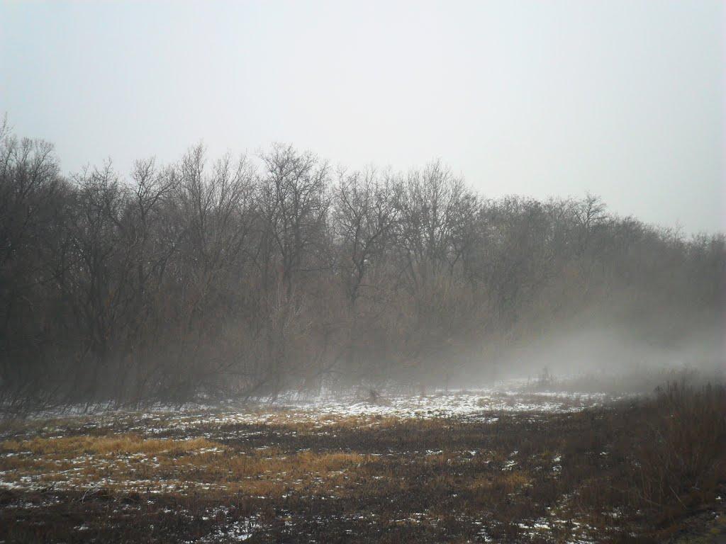 Вовче з panoramio.com - Вовче