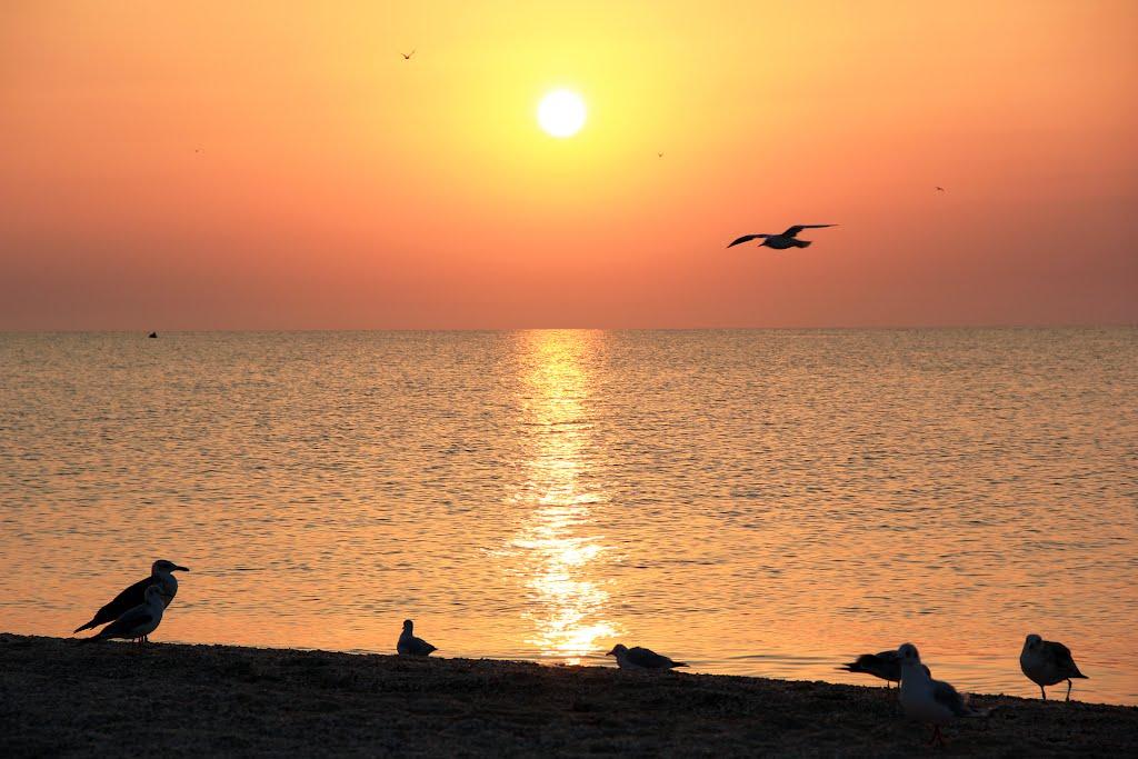 Кирилівка з panoramio.com (ч.2) - Кирилівка