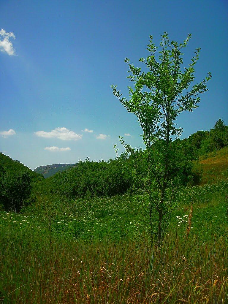 Багата Ущелина з panoramio.com - Багата Ущелина