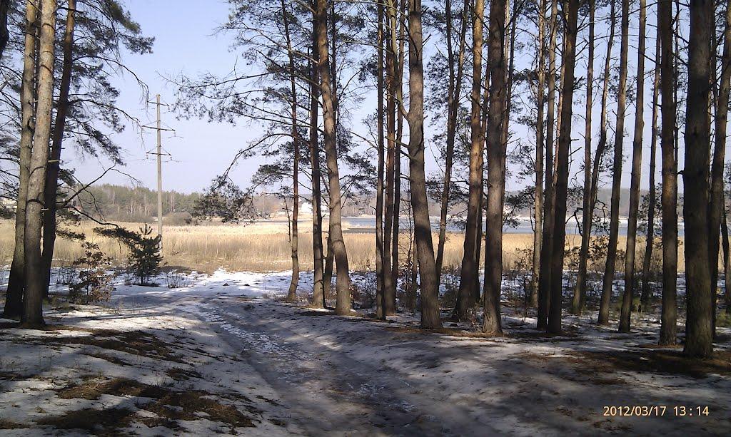 Данилівка з panoramio.com - Даниловка