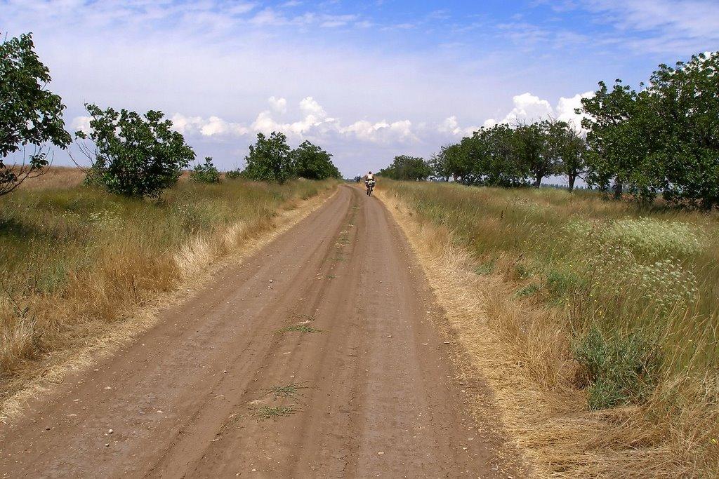 Миколаївка з panoramio.com - Миколаївка