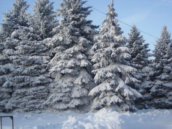 Межова з panoramio.com - Межова