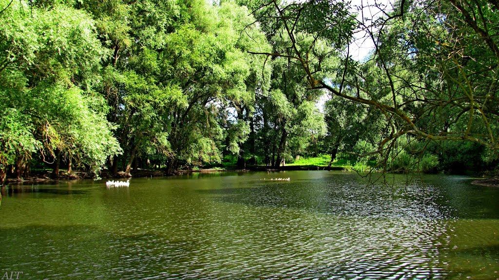 Кураш з panoramio.com - Кураш