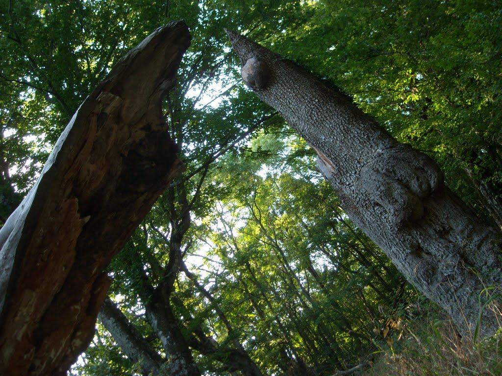 Паркове з panoramio.com - Паркове