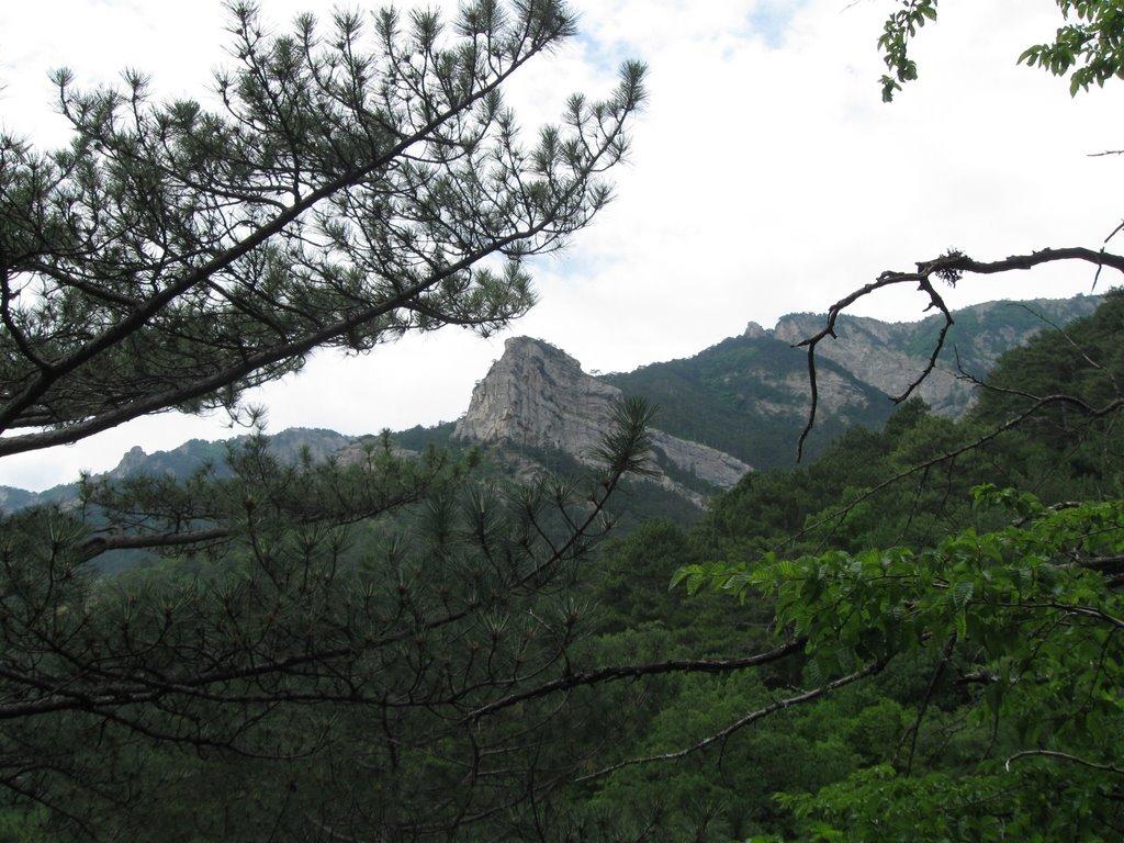 Виноградне з panoramio.com - Виноградное