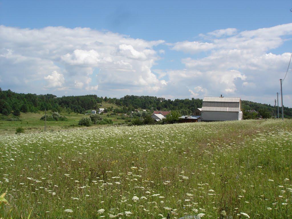 Музичі з panoramio.com - Музичі