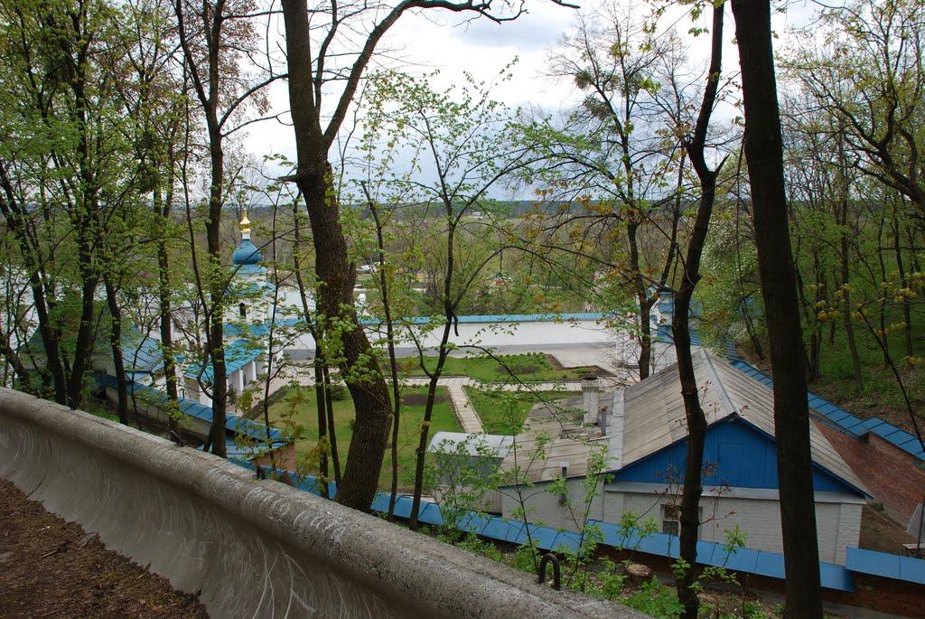 Тетянівка з panoramio.com (ч.2) - Тетянівка