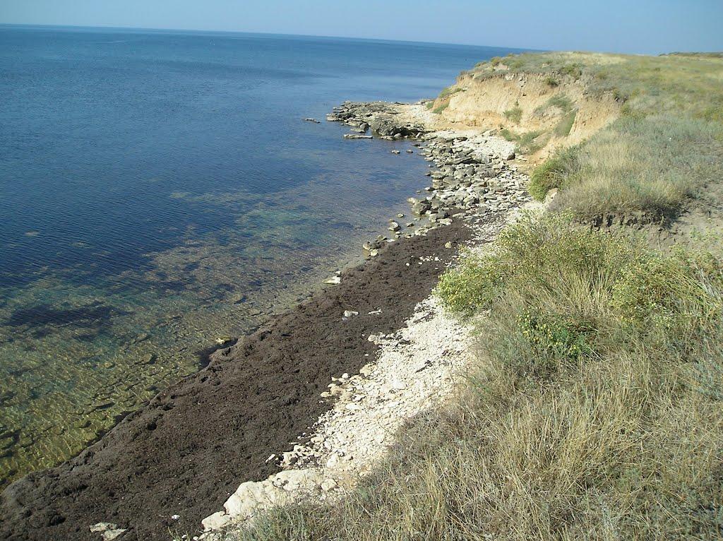 Окунівка з panoramio.com - Окунівка