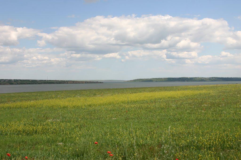 Берегове з panoramio.com - Береговое