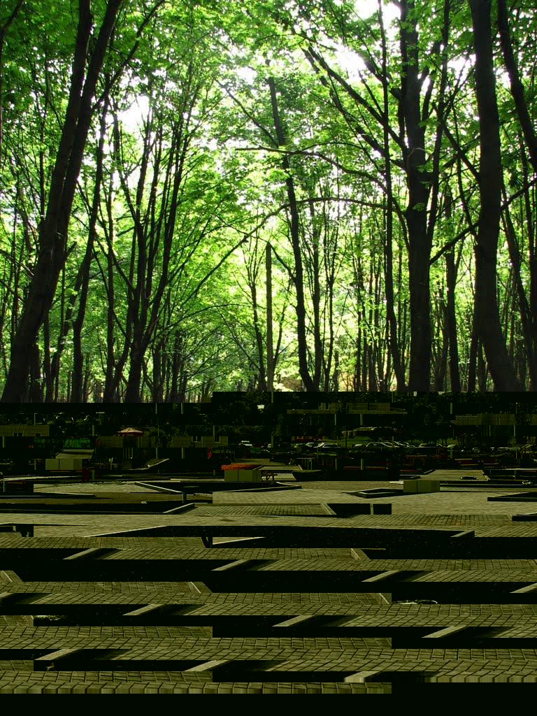 Логачівка з panoramio.com - Логачівка