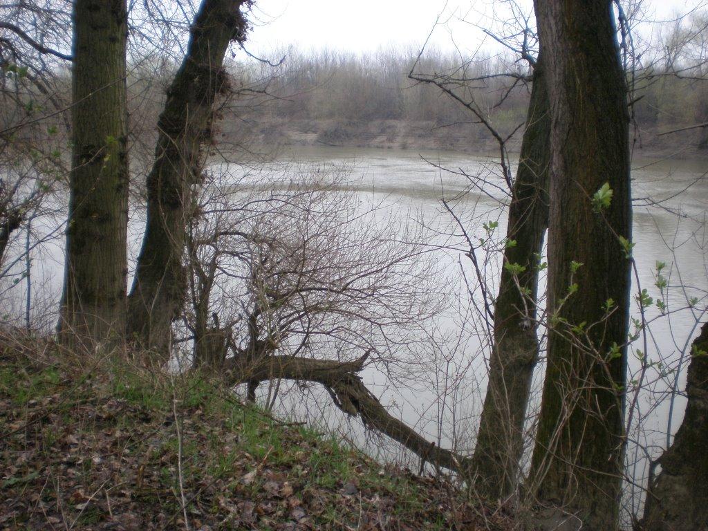 Чоп з panoramio.com - Чоп