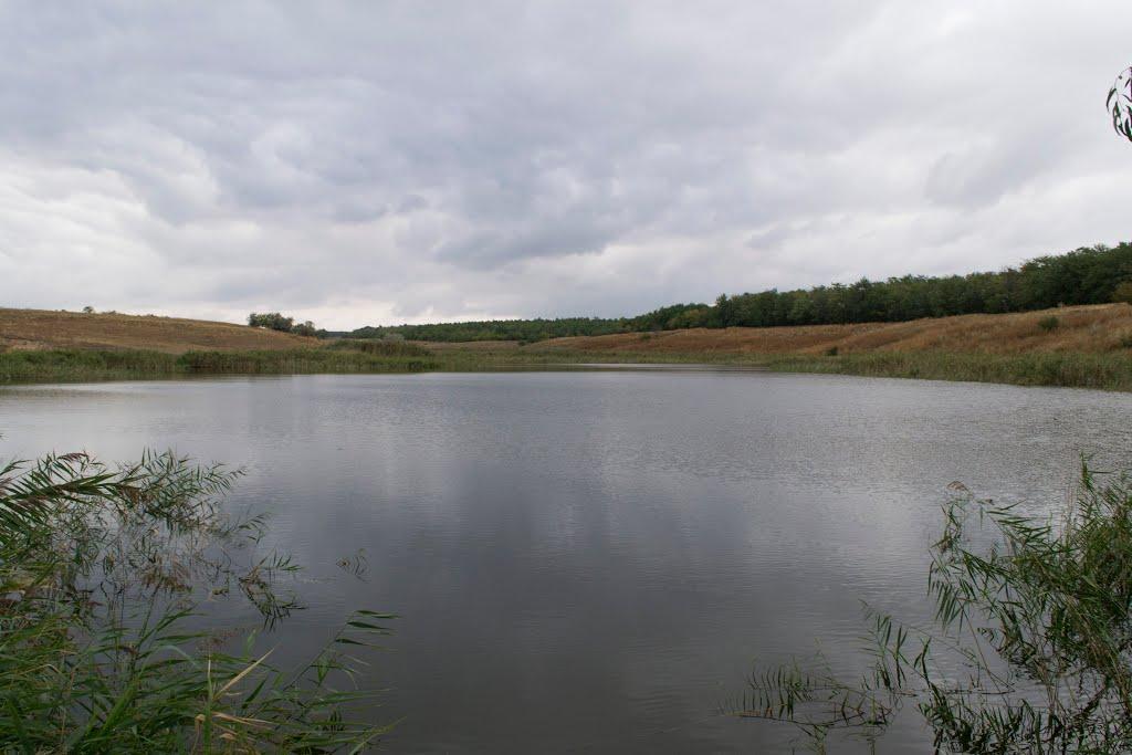 Старченкове з panoramio.com - Темрюк