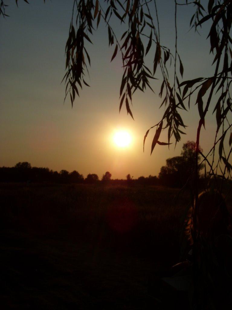 Хотянівка з panoramio.com - Хотянівка