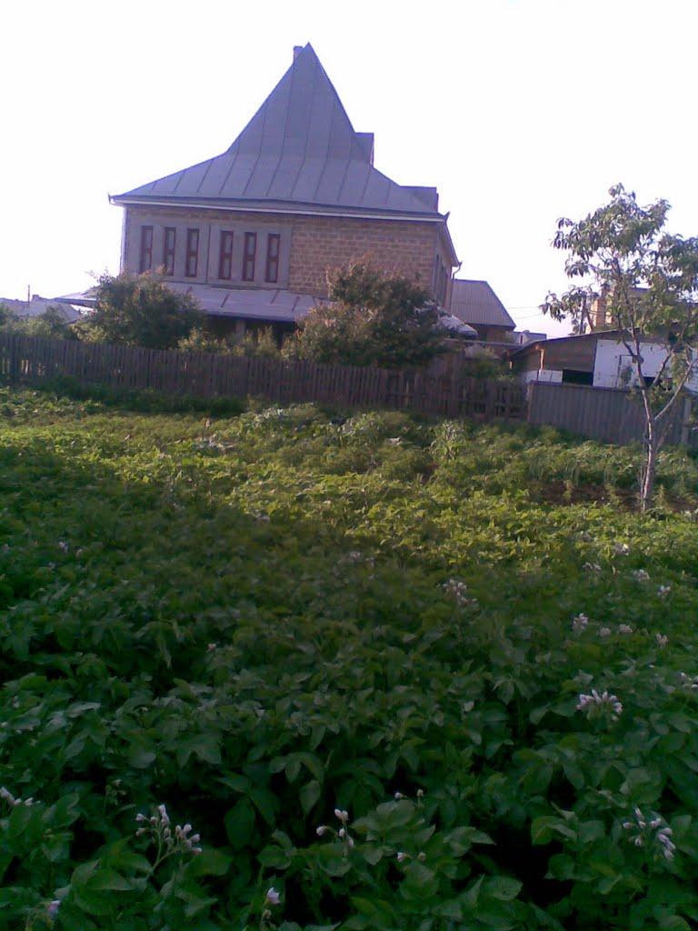 Фонтанка з panoramio.com - Фонтанка