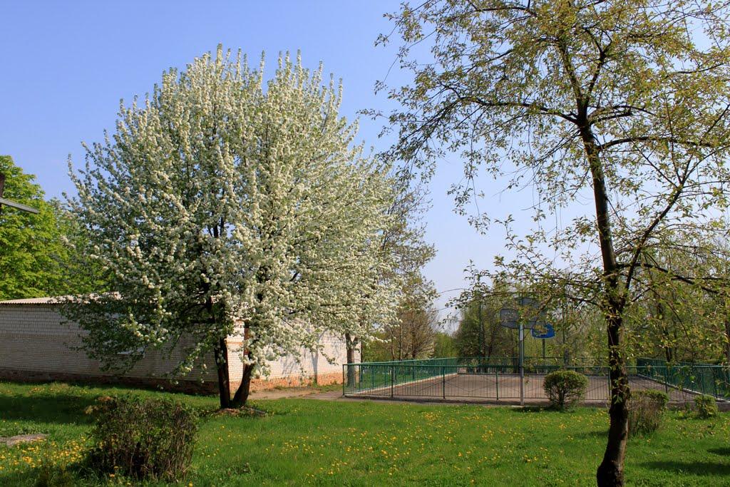 Ладижин з panoramio.com (ч.2) - Ладижин