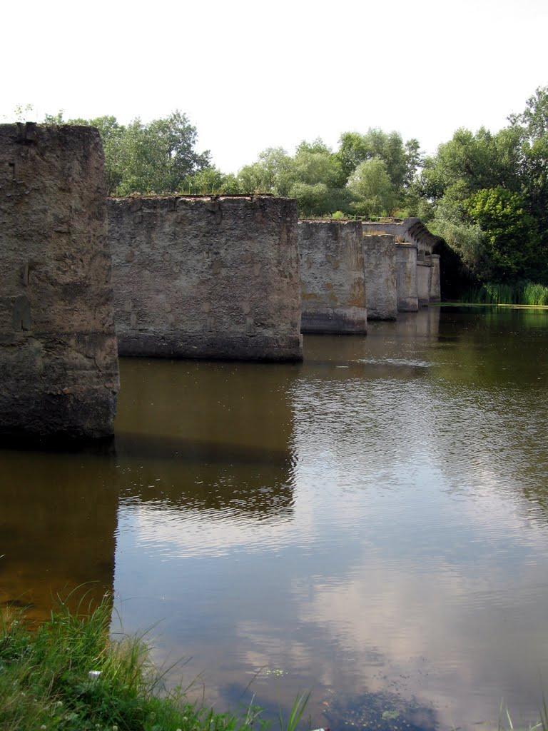 Кияшки з panoramio.com - Кияшки