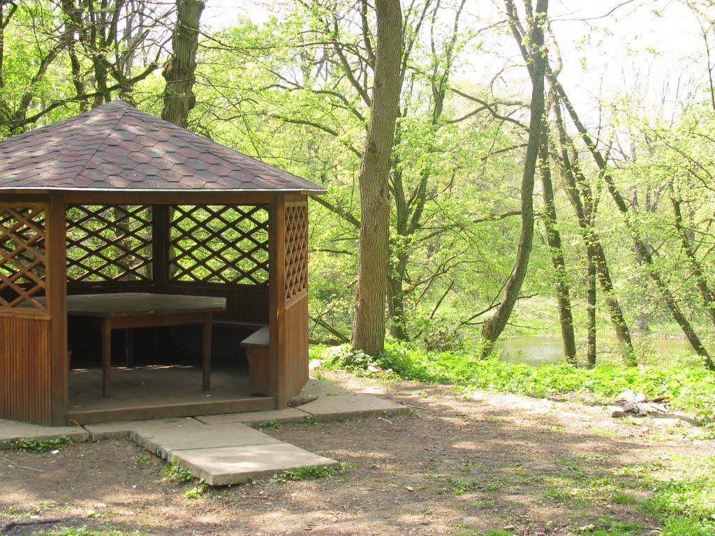 Вишня з panoramio.com - Вишня