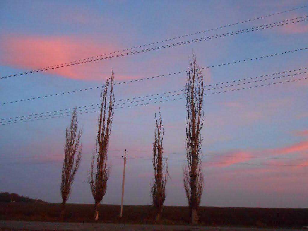 Світле з panoramio.com - Світле