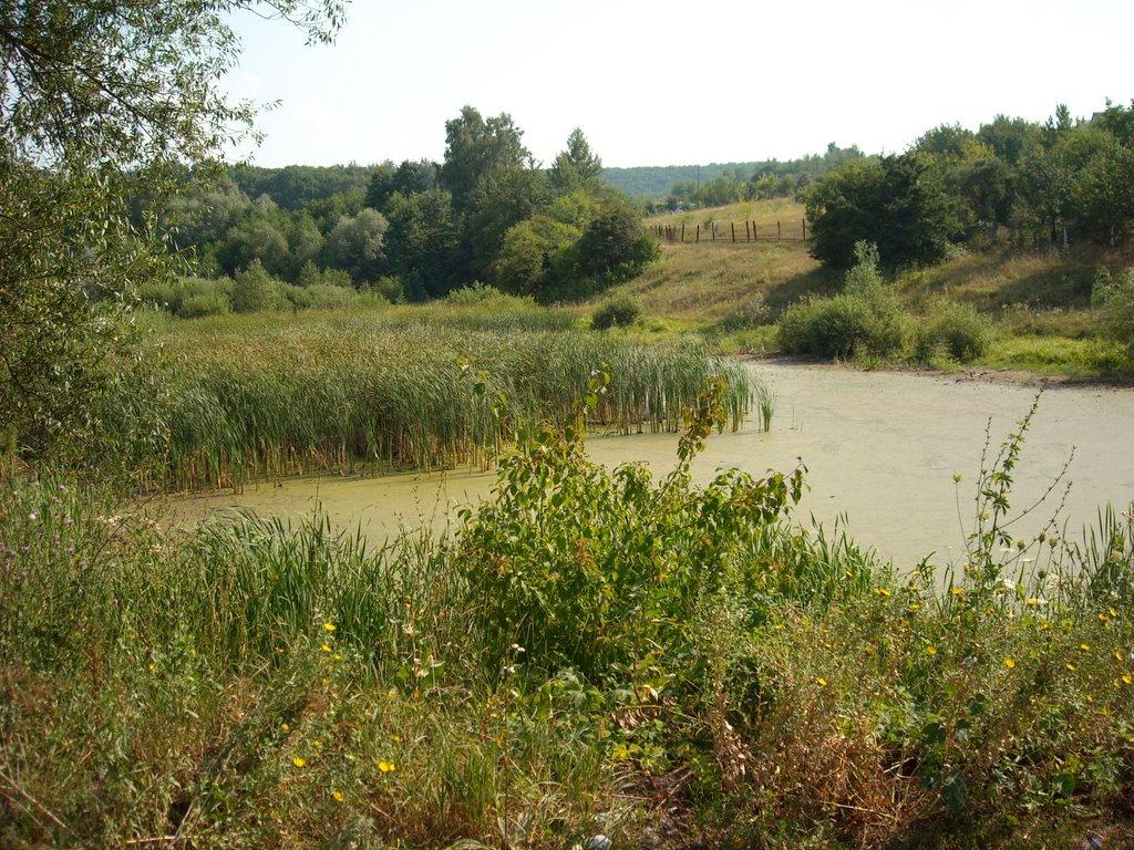 Хорошеве з panoramio.com - Хорошеве