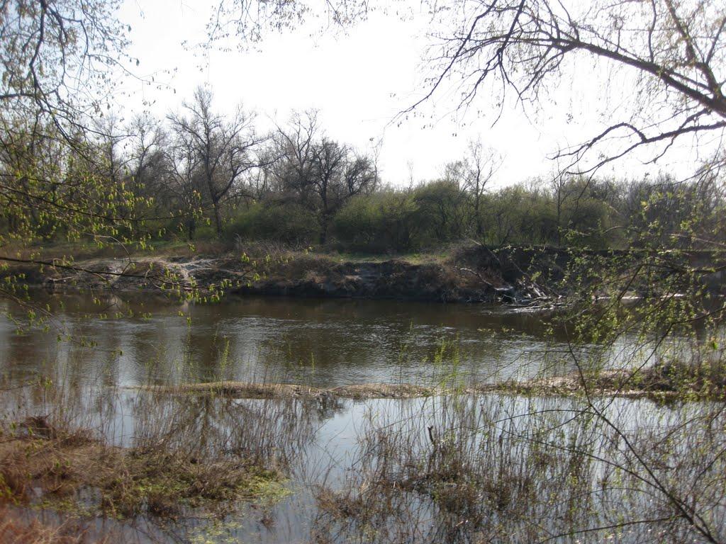 Плавні з panoramio.com - Плавни