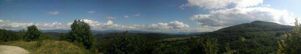 Мирча з panoramio.com - Мирча