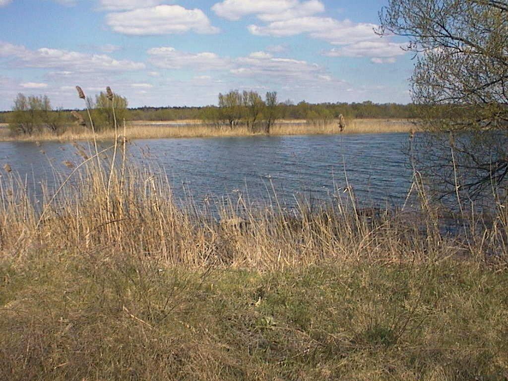 Солгутове з panoramio.com - Солгутове