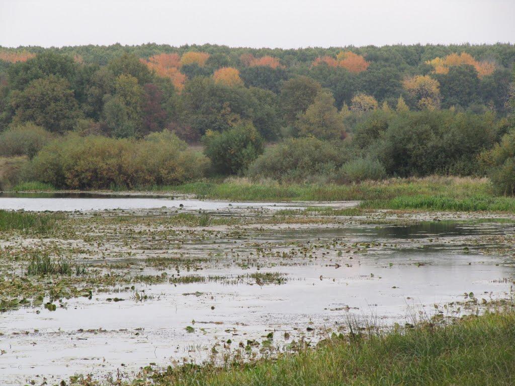 Максаки з panoramio.com - Maksaky