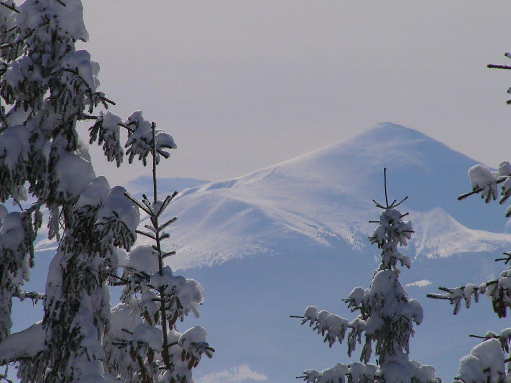 Стебний з panoramio.com - Stebnyy