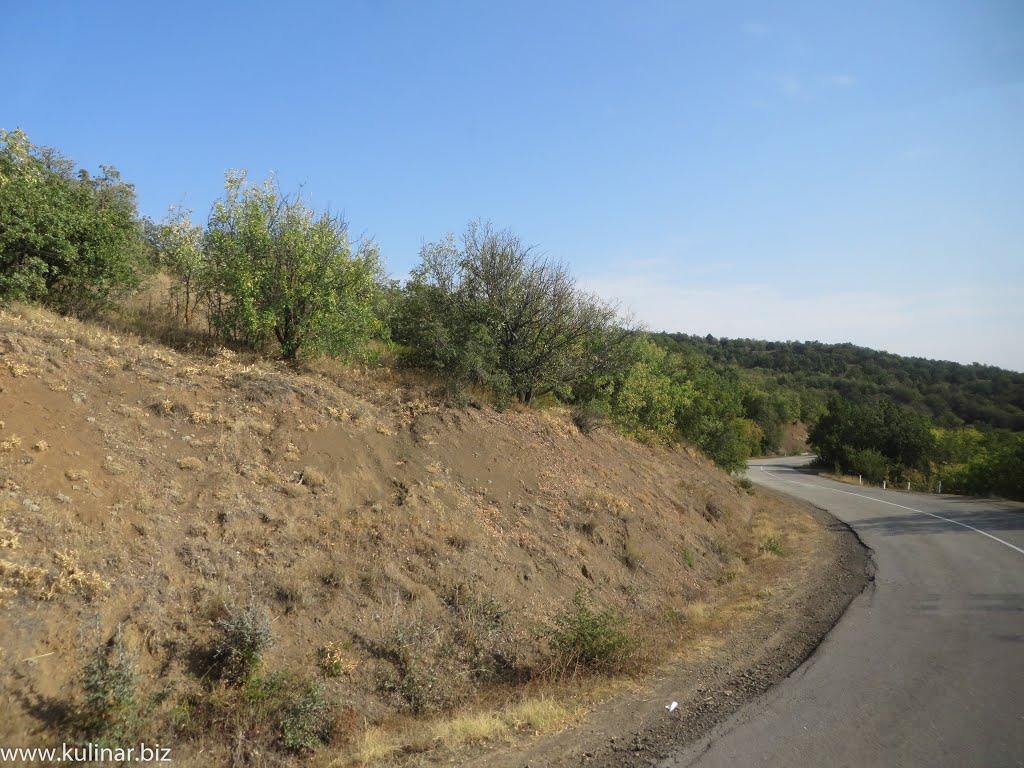 Семидвір'я з panoramio.com - Семидвір'я