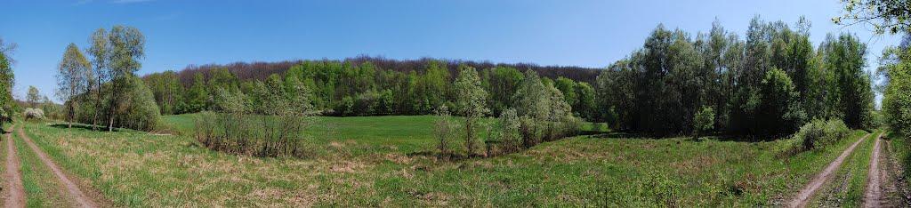 П'ятницьке з panoramio.com - П'ятницьке