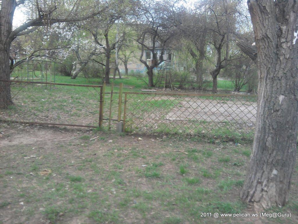 Миколаївка з panoramio.com (ч.2) - Миколаївка